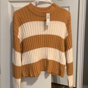AE Striped Sweater (BRAND NEW)